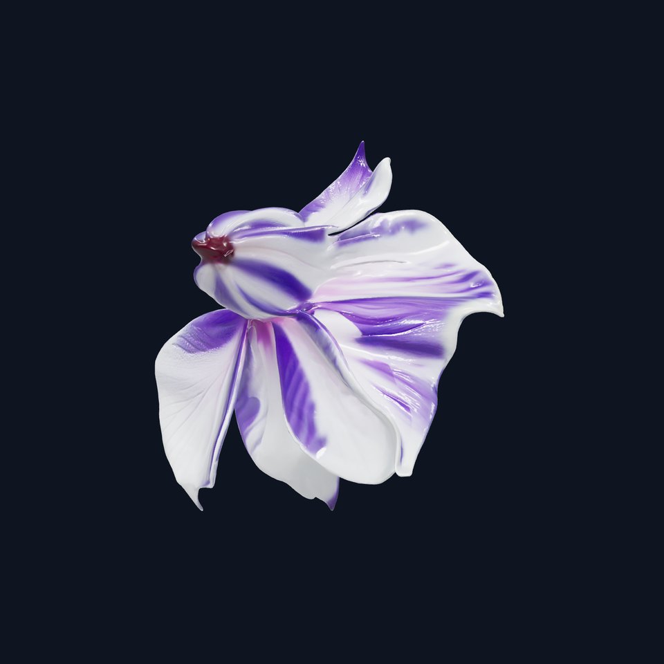 Bicolor Clematis Flower Model Pack